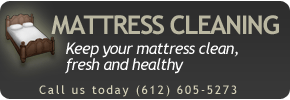 bed and mattress cleaning